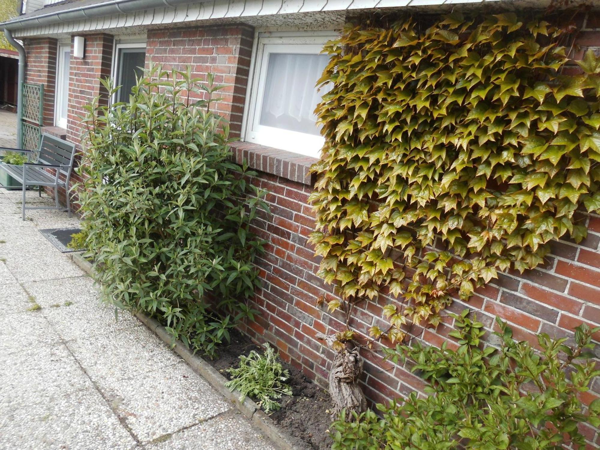 Villa Möwennest Neuharlingersiel Exterior foto